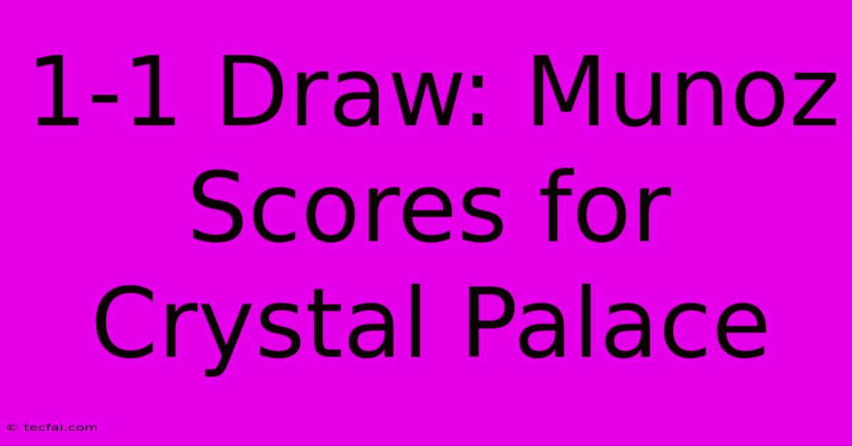 1-1 Draw: Munoz Scores For Crystal Palace