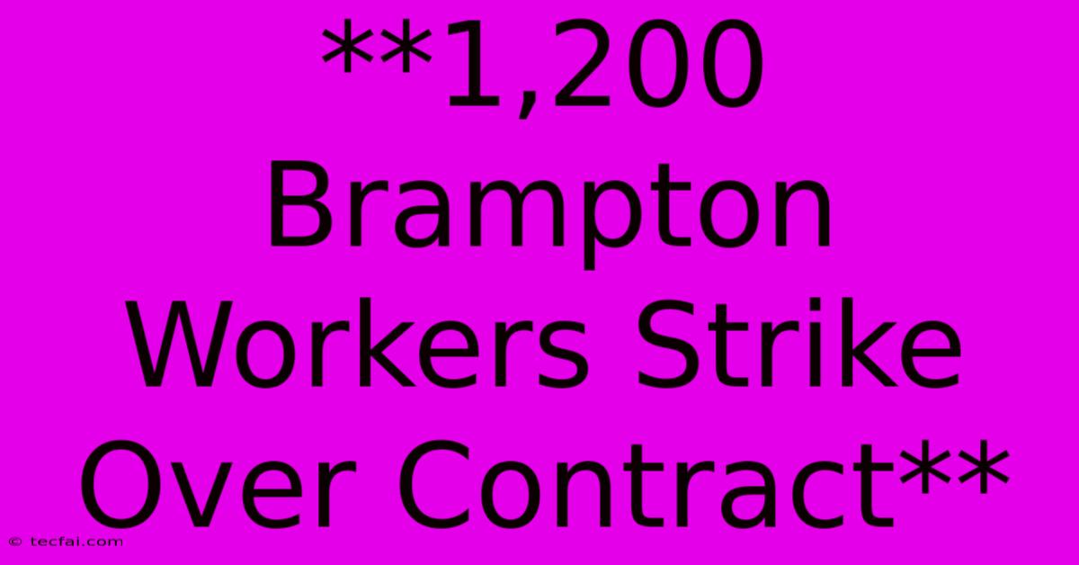 **1,200 Brampton Workers Strike Over Contract**