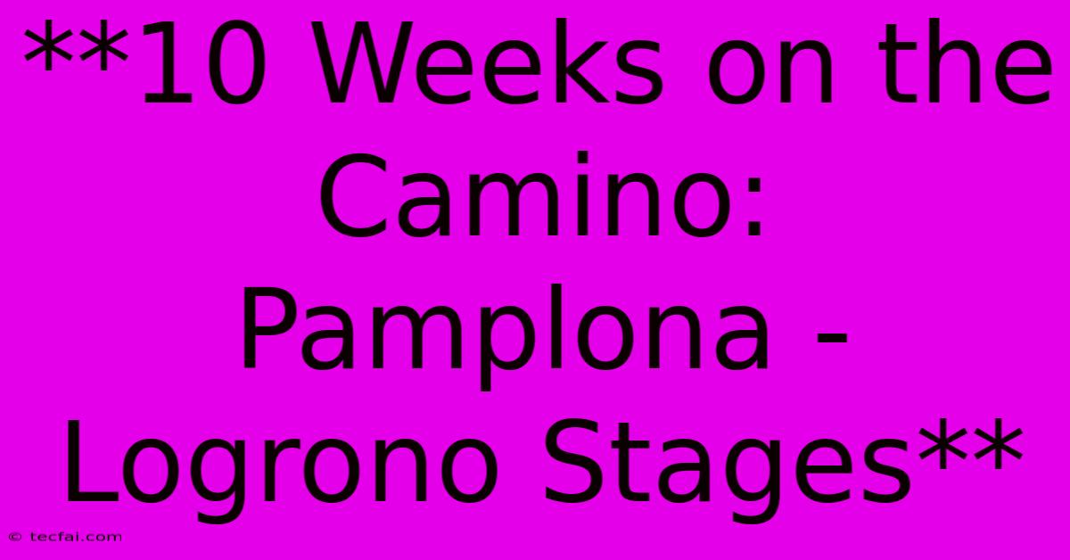 **10 Weeks On The Camino: Pamplona - Logrono Stages**