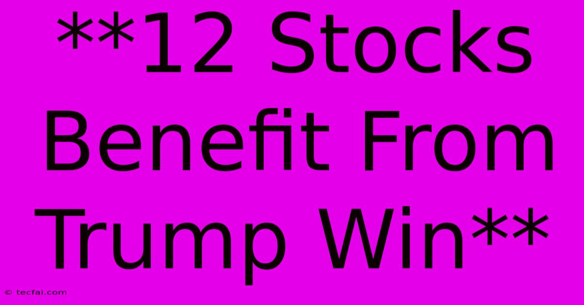 **12 Stocks Benefit From Trump Win**