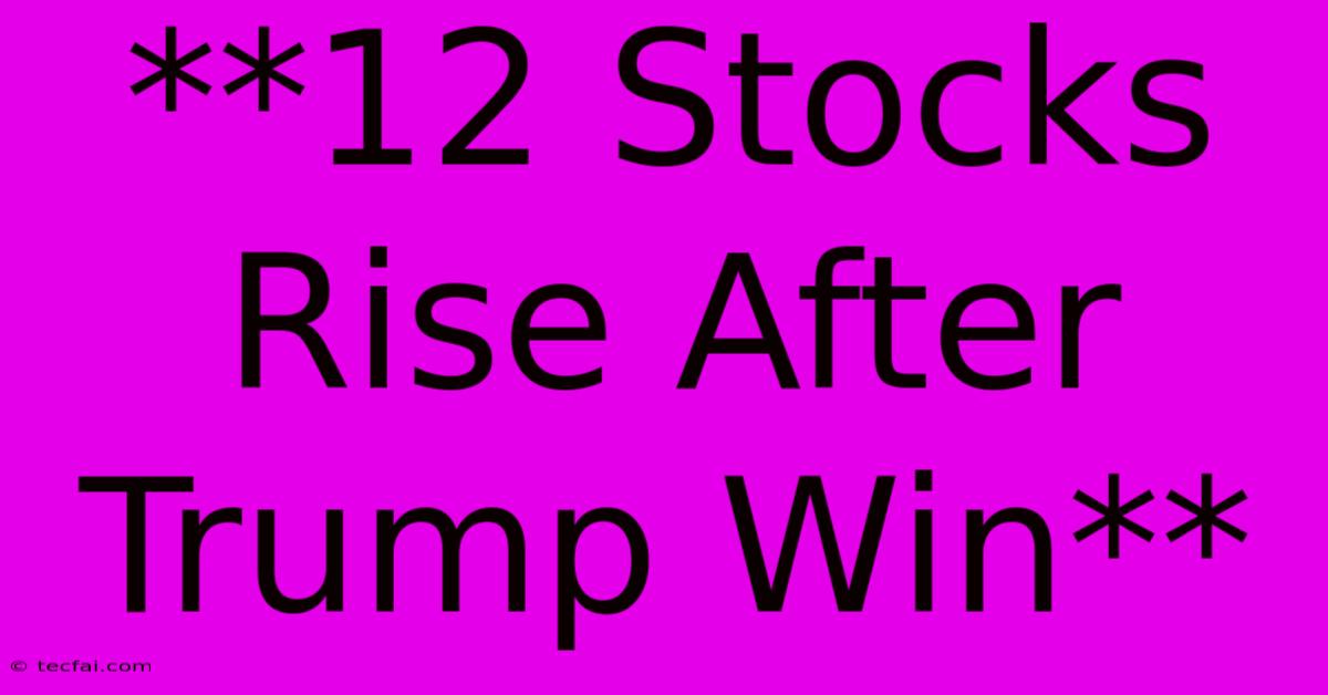 **12 Stocks Rise After Trump Win**