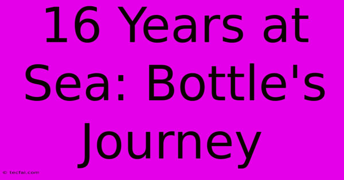 16 Years At Sea: Bottle's Journey