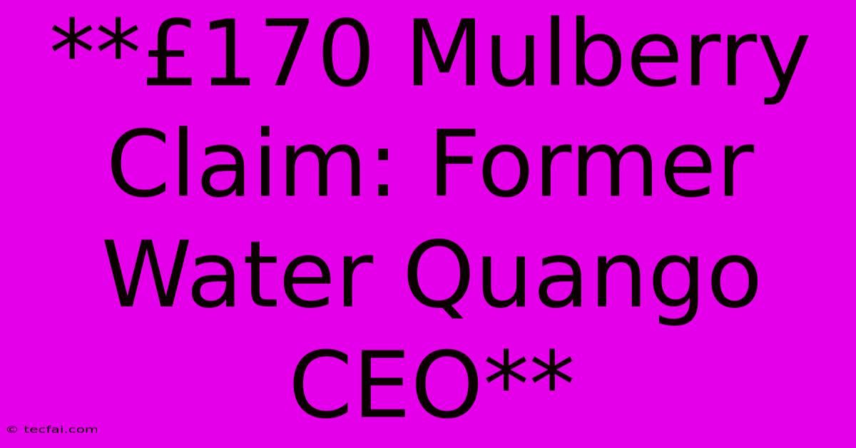 **£170 Mulberry Claim: Former Water Quango CEO**