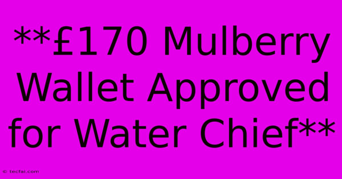 **£170 Mulberry Wallet Approved For Water Chief**