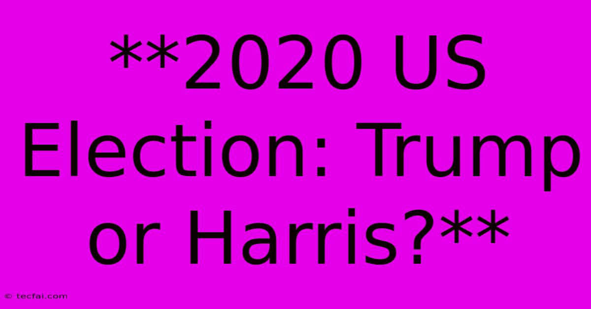 **2020 US Election: Trump Or Harris?**