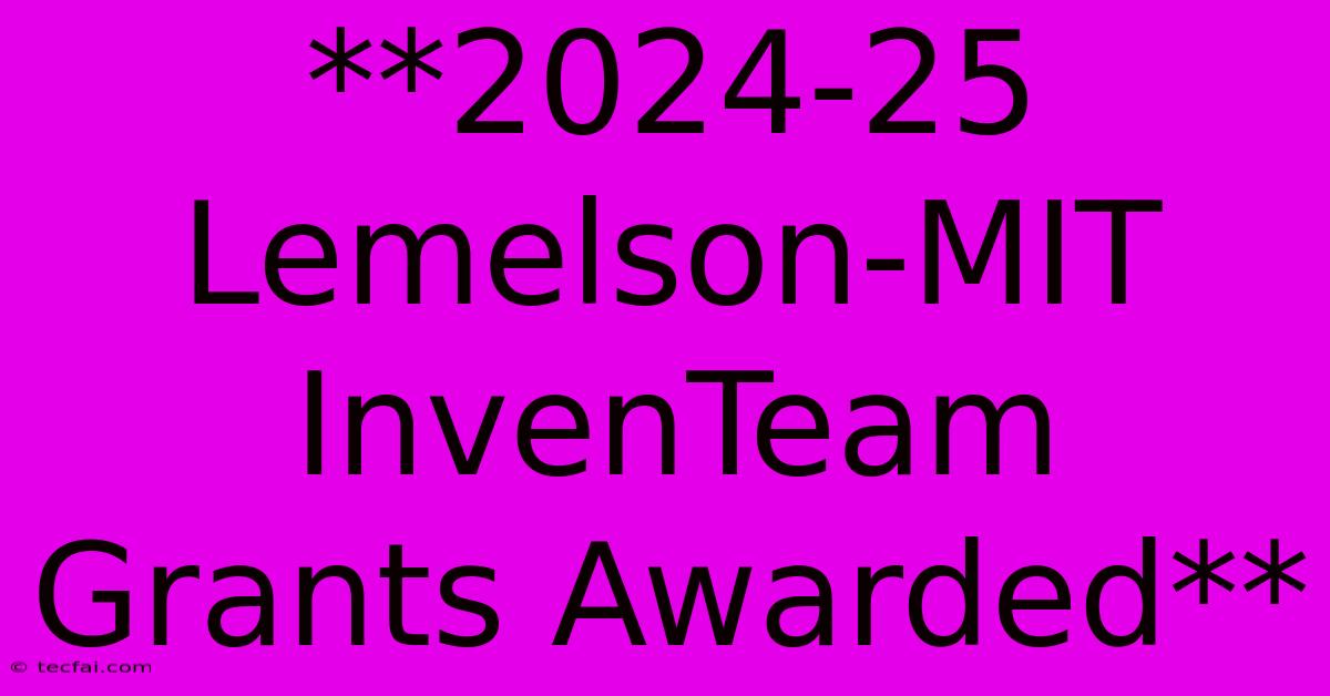 **2024-25 Lemelson-MIT InvenTeam Grants Awarded**