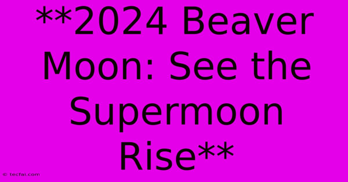 **2024 Beaver Moon: See The Supermoon Rise** 