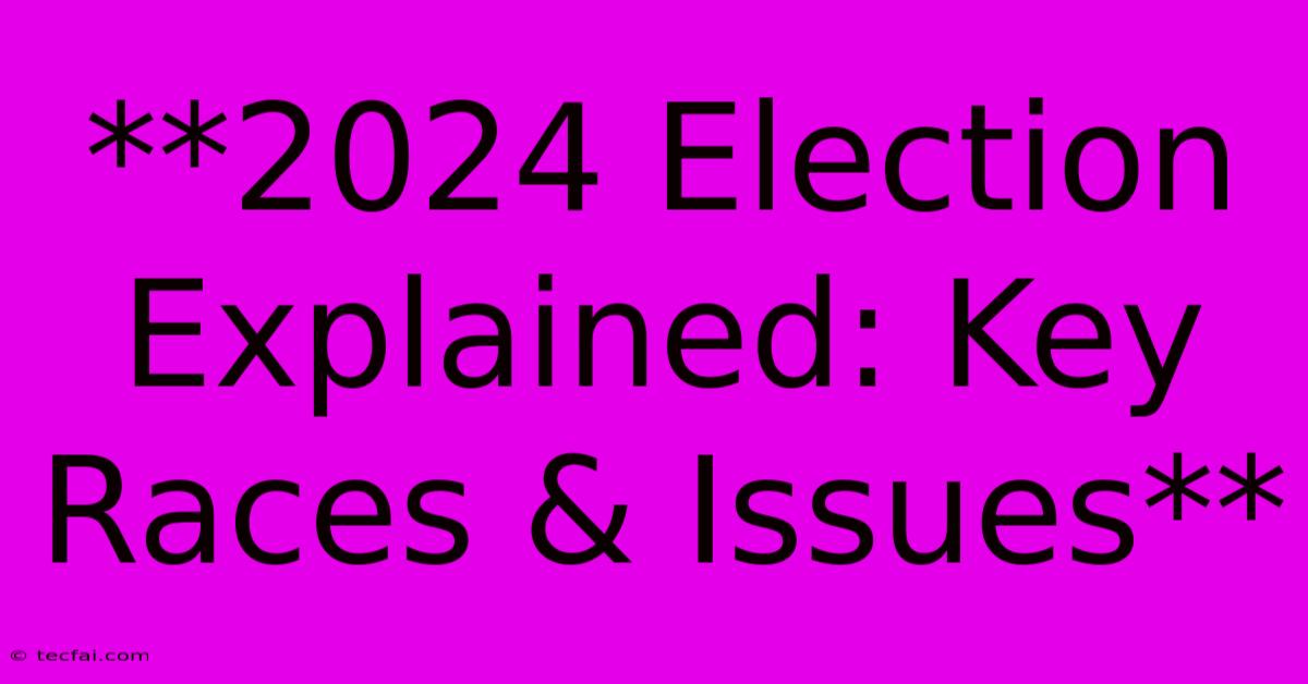 **2024 Election Explained: Key Races & Issues**