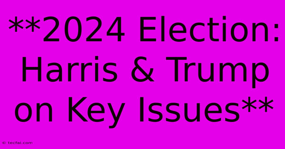 **2024 Election: Harris & Trump On Key Issues**