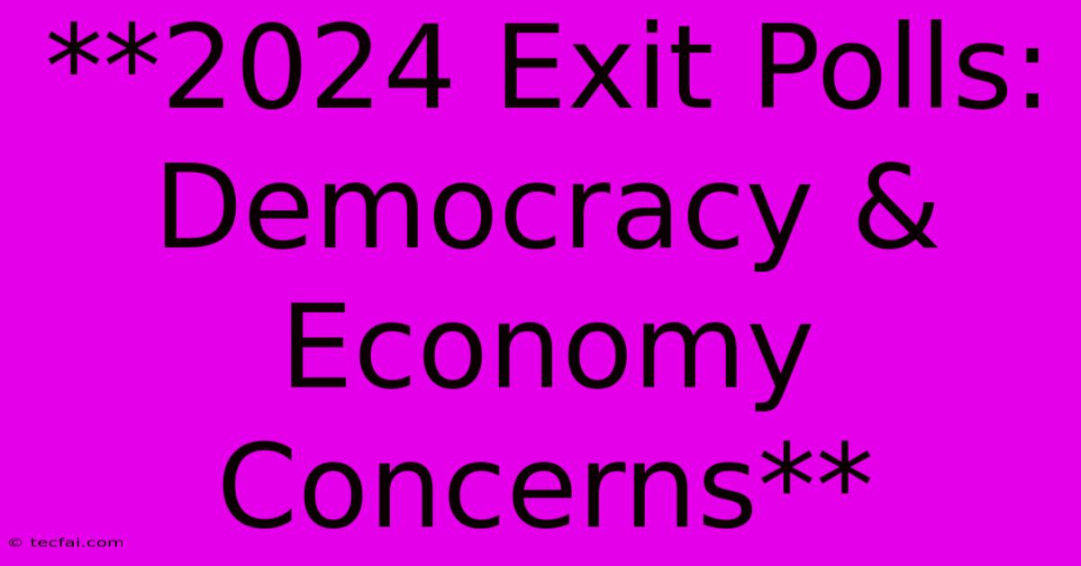 **2024 Exit Polls: Democracy & Economy Concerns**