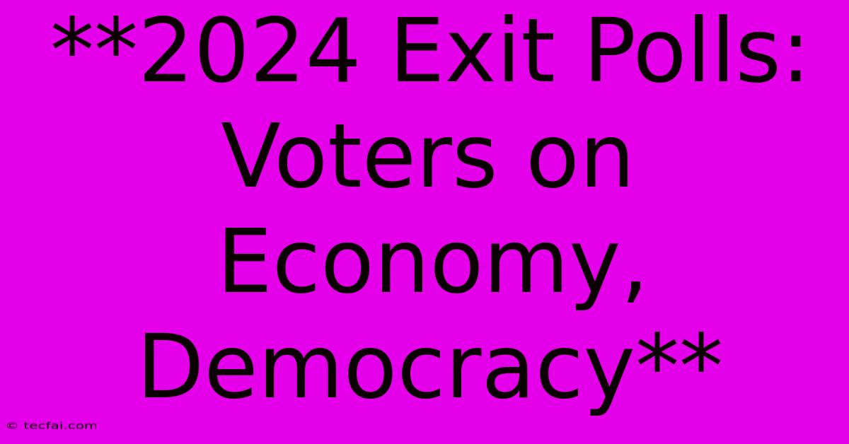 **2024 Exit Polls: Voters On Economy, Democracy** 