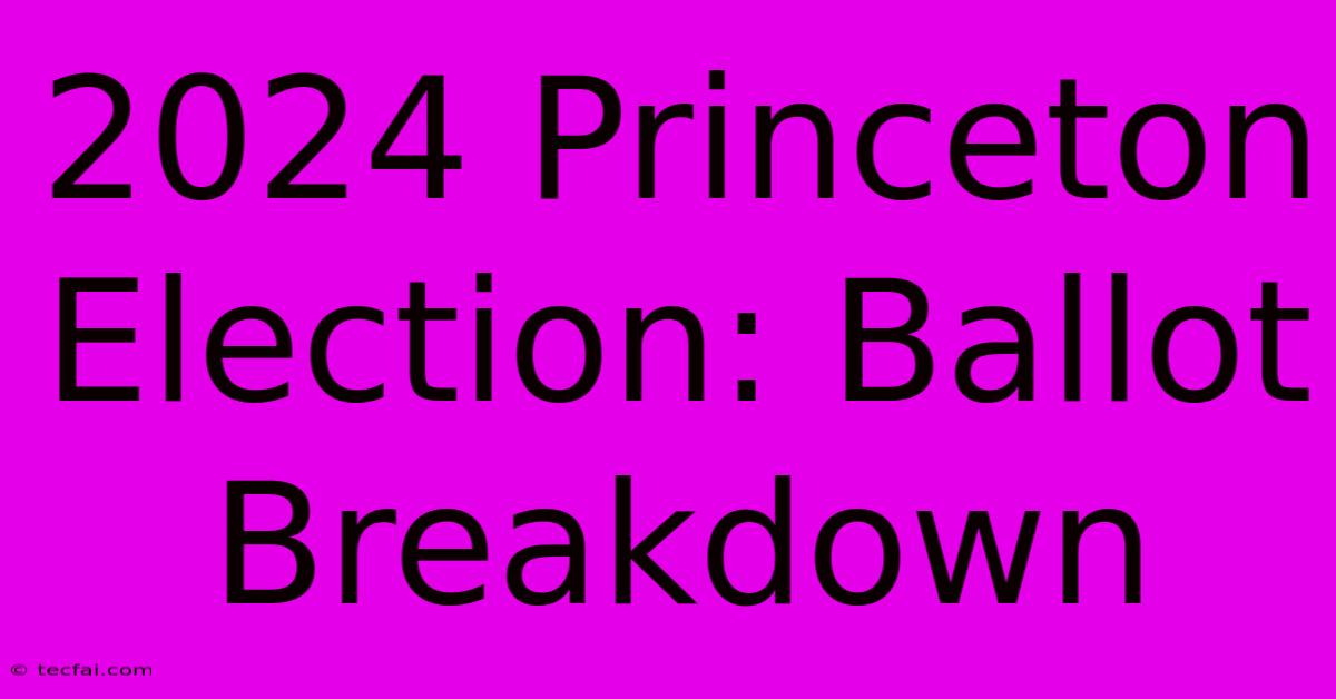 2024 Princeton Election: Ballot Breakdown 