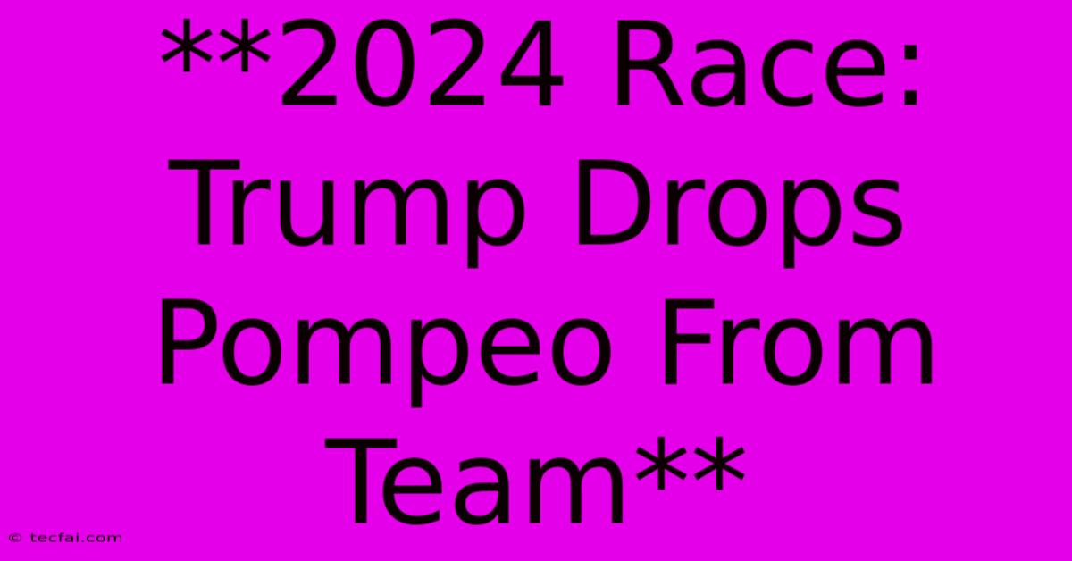 **2024 Race: Trump Drops Pompeo From Team**