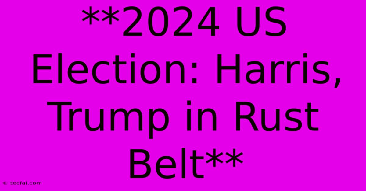 **2024 US Election: Harris, Trump In Rust Belt**