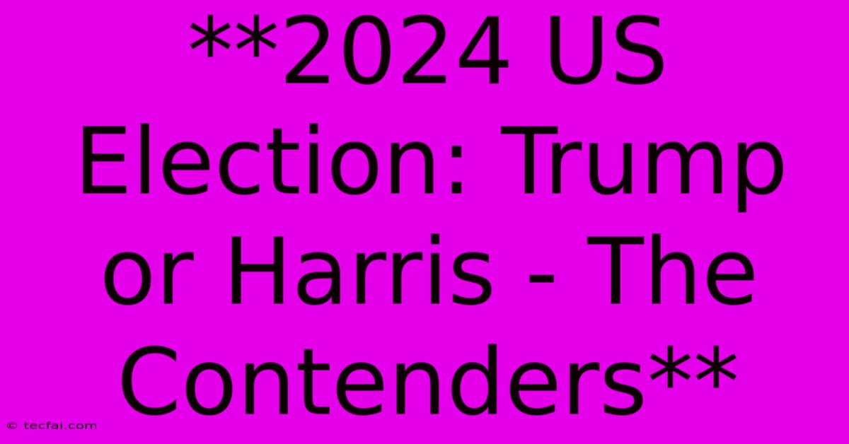 **2024 US Election: Trump Or Harris - The Contenders**