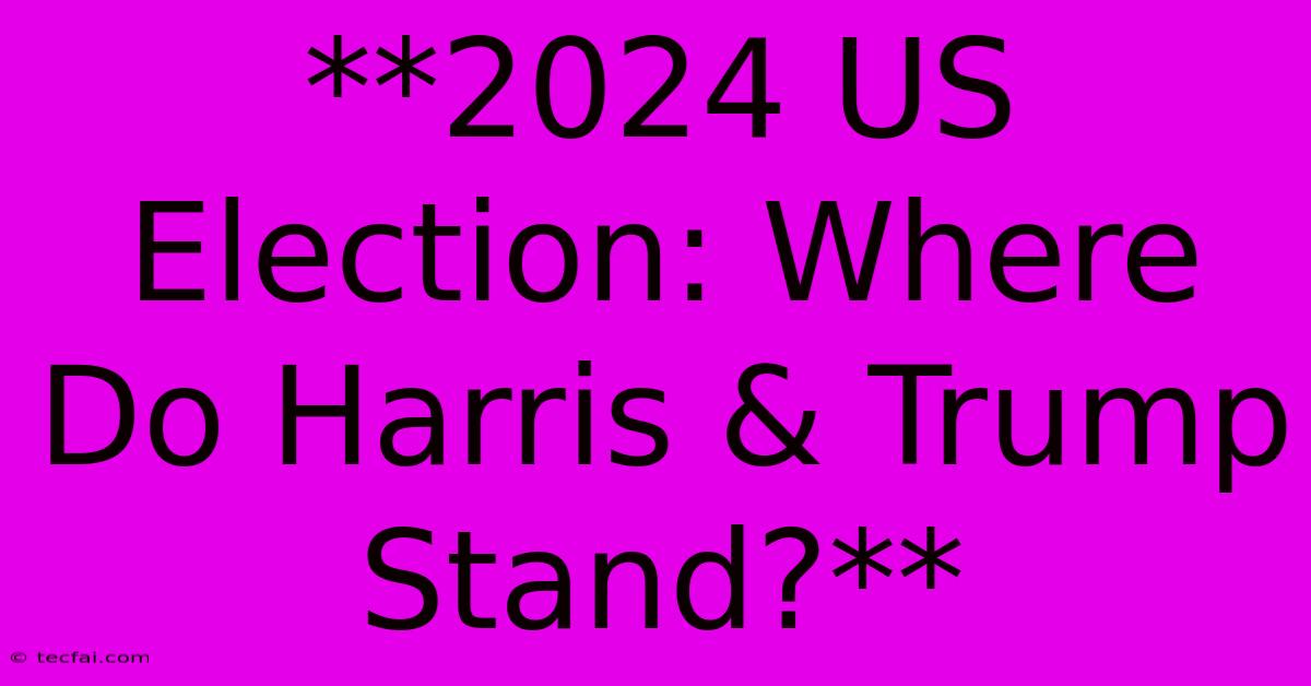 **2024 US Election: Where Do Harris & Trump Stand?** 