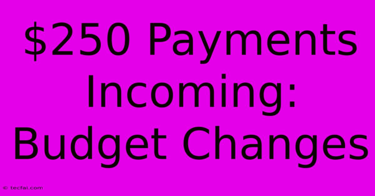 $250 Payments Incoming: Budget Changes