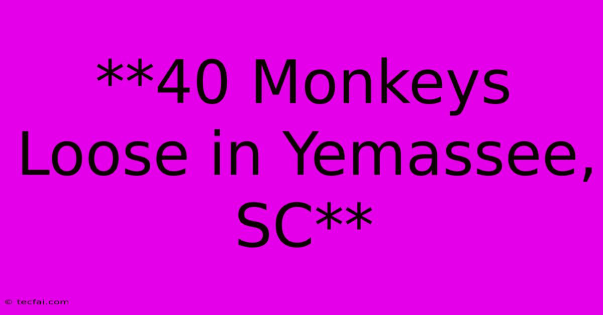 **40 Monkeys Loose In Yemassee, SC**