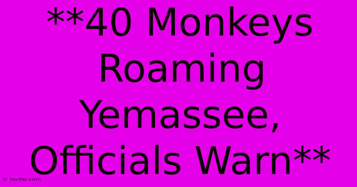 **40 Monkeys Roaming Yemassee, Officials Warn**