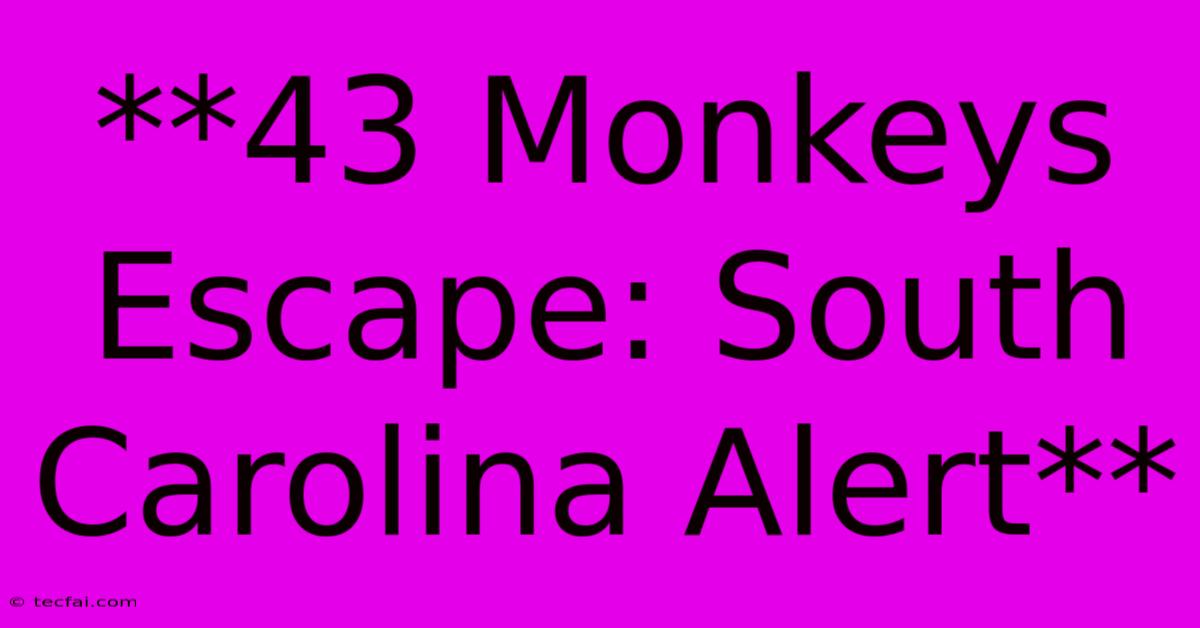 **43 Monkeys Escape: South Carolina Alert**