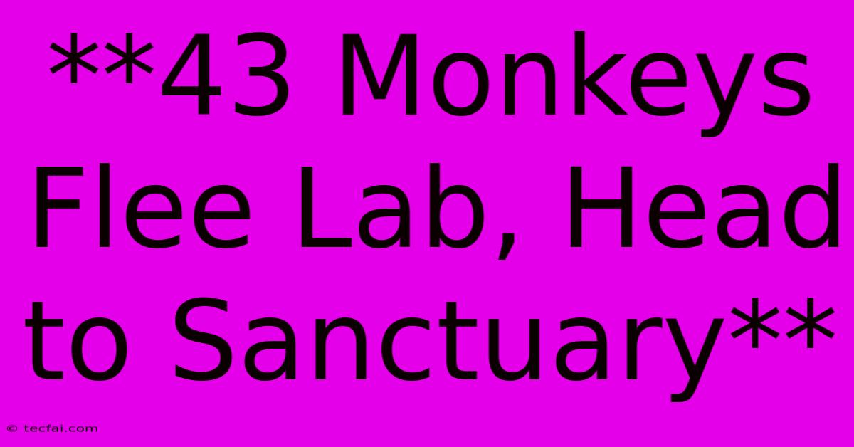 **43 Monkeys Flee Lab, Head To Sanctuary**