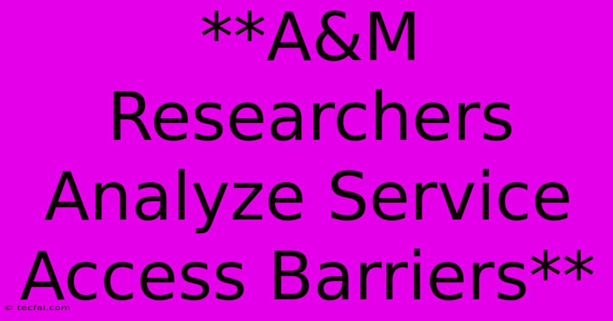 **A&M Researchers Analyze Service Access Barriers** 