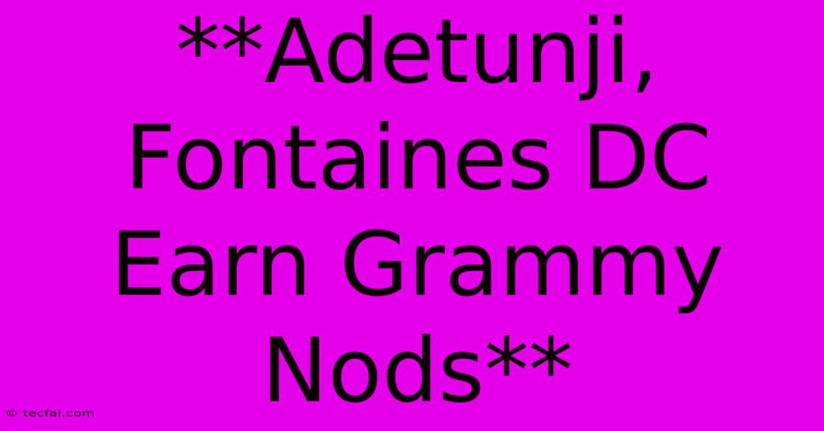 **Adetunji, Fontaines DC Earn Grammy Nods**