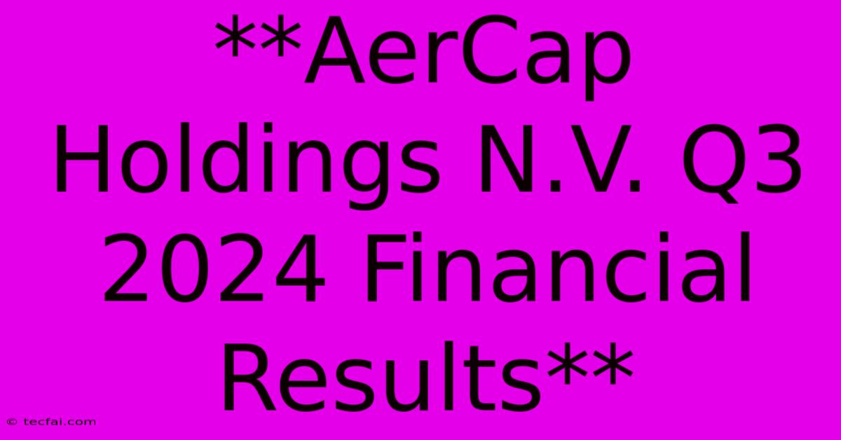 **AerCap Holdings N.V. Q3 2024 Financial Results** 