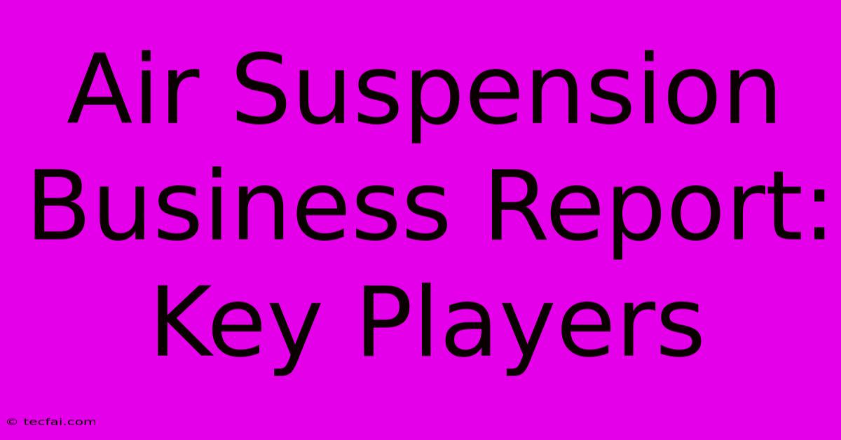 Air Suspension Business Report: Key Players