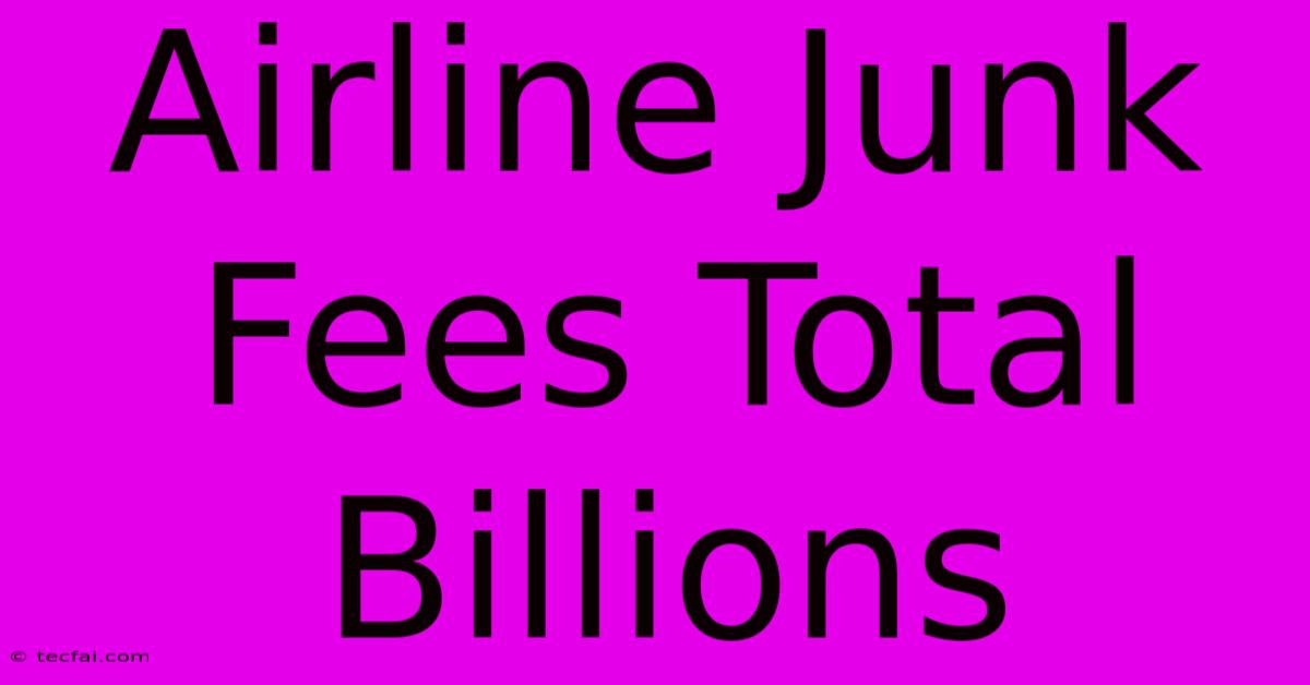 Airline Junk Fees Total Billions