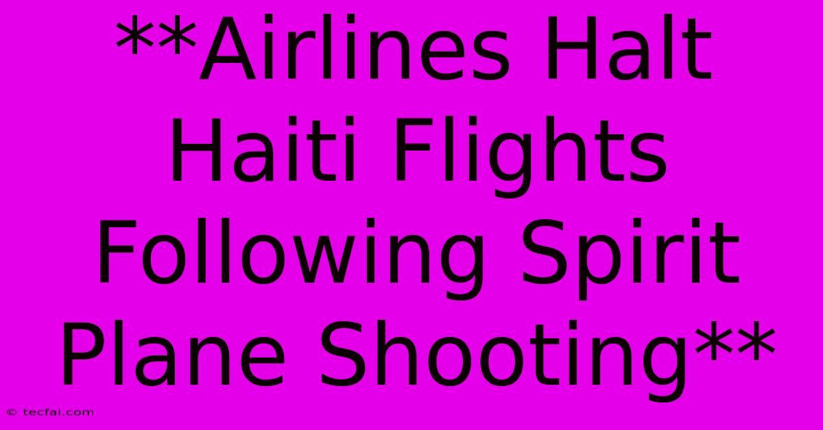 **Airlines Halt Haiti Flights Following Spirit Plane Shooting** 