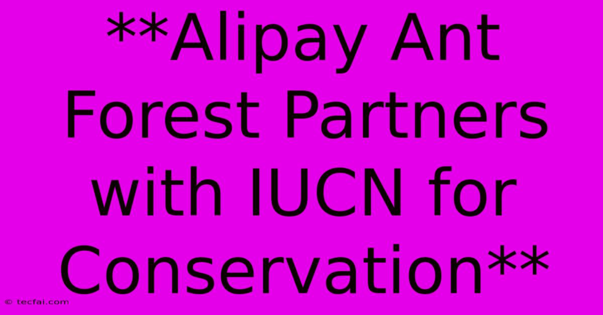 **Alipay Ant Forest Partners With IUCN For Conservation**