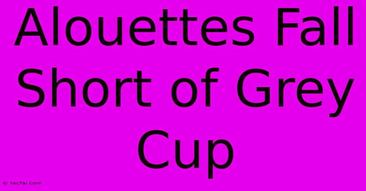 Alouettes Fall Short Of Grey Cup