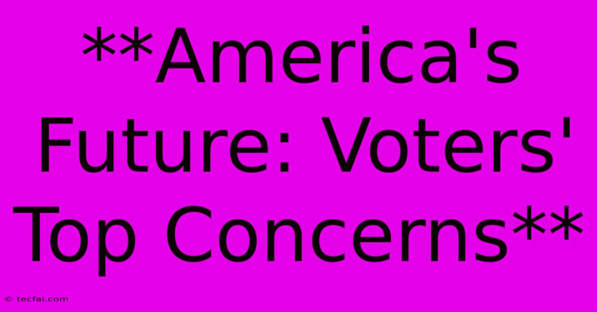 **America's Future: Voters' Top Concerns** 