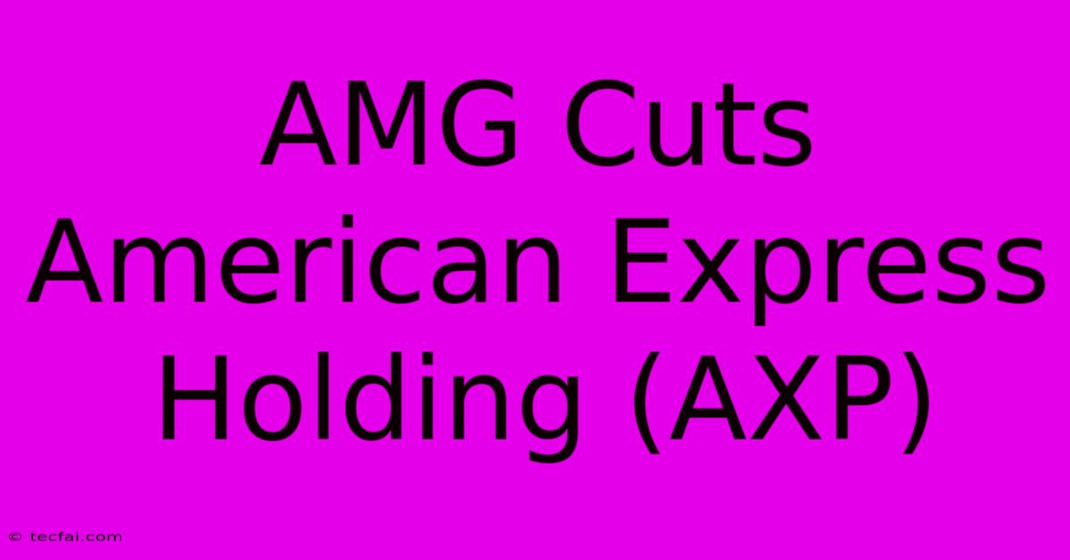 AMG Cuts American Express Holding (AXP)