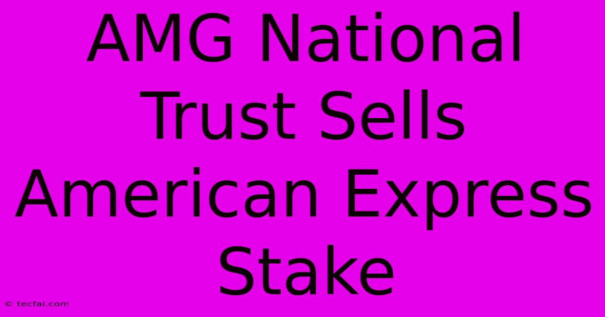 AMG National Trust Sells American Express Stake