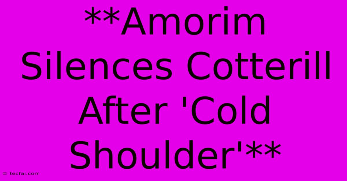 **Amorim Silences Cotterill After 'Cold Shoulder'**