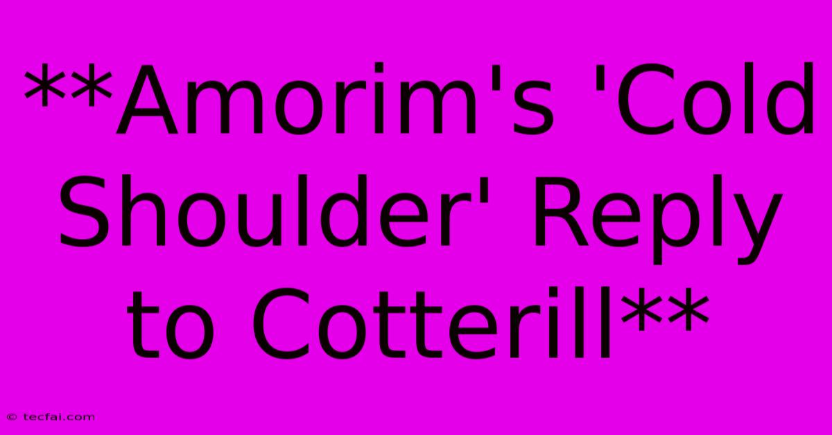 **Amorim's 'Cold Shoulder' Reply To Cotterill**