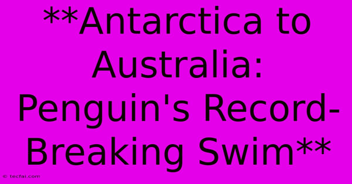 **Antarctica To Australia: Penguin's Record-Breaking Swim**