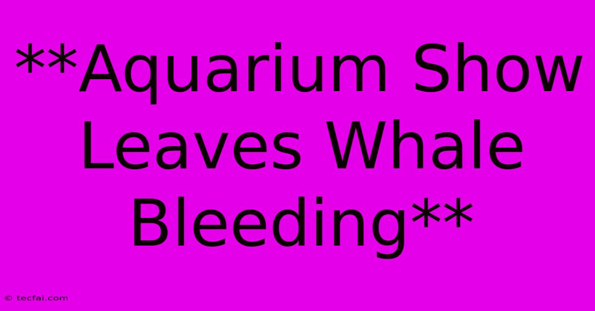 **Aquarium Show Leaves Whale Bleeding**