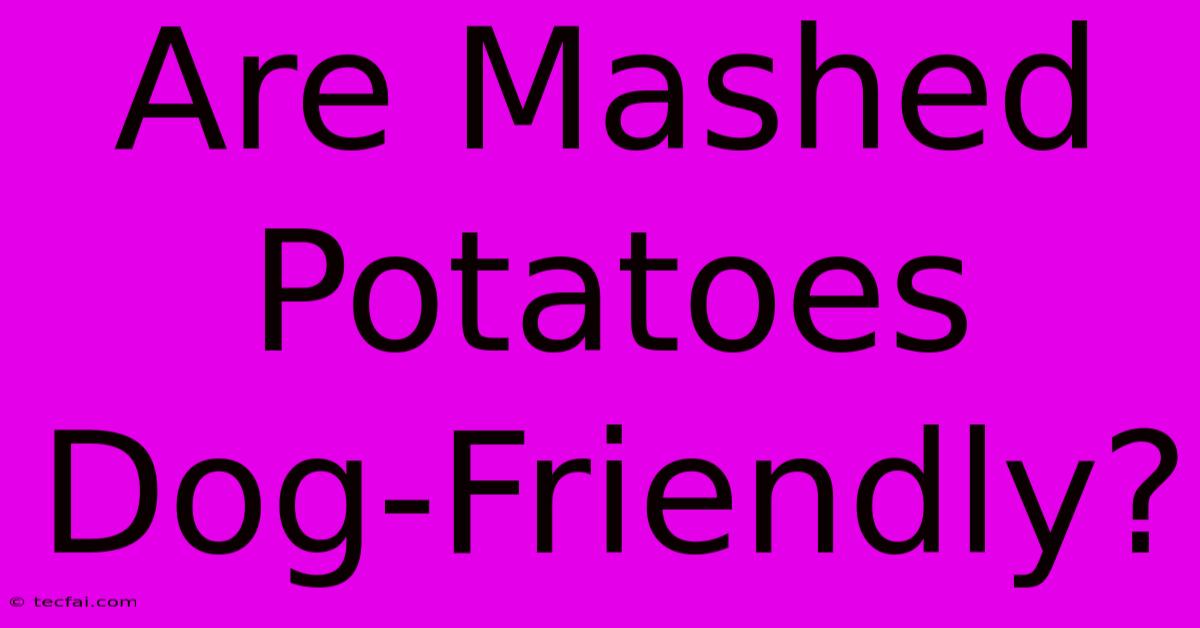 Are Mashed Potatoes Dog-Friendly?