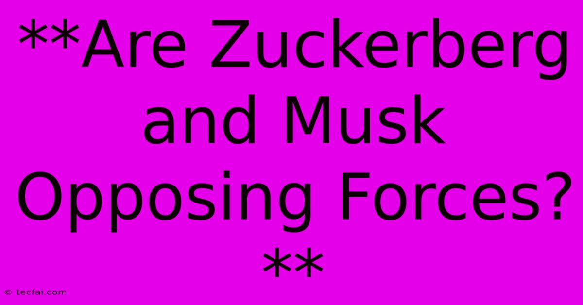 **Are Zuckerberg And Musk Opposing Forces?** 