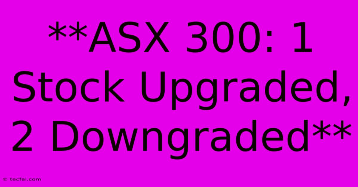 **ASX 300: 1 Stock Upgraded, 2 Downgraded**