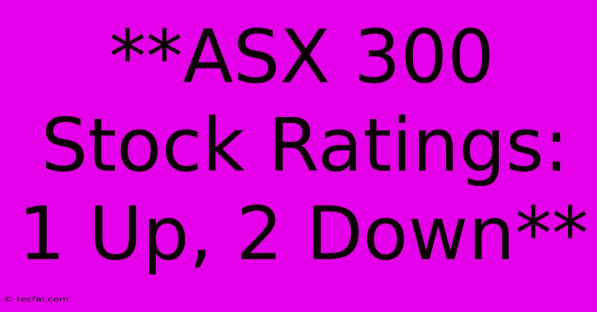 **ASX 300 Stock Ratings: 1 Up, 2 Down**