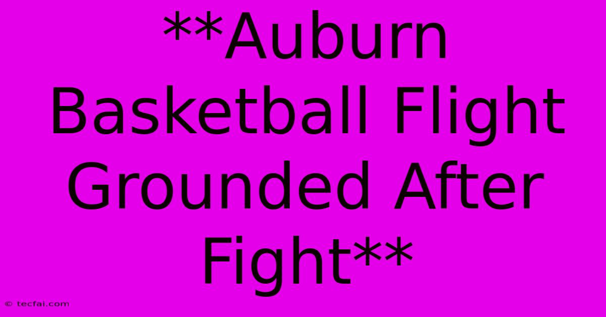 **Auburn Basketball Flight Grounded After Fight**