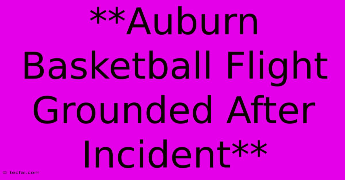 **Auburn Basketball Flight Grounded After Incident** 