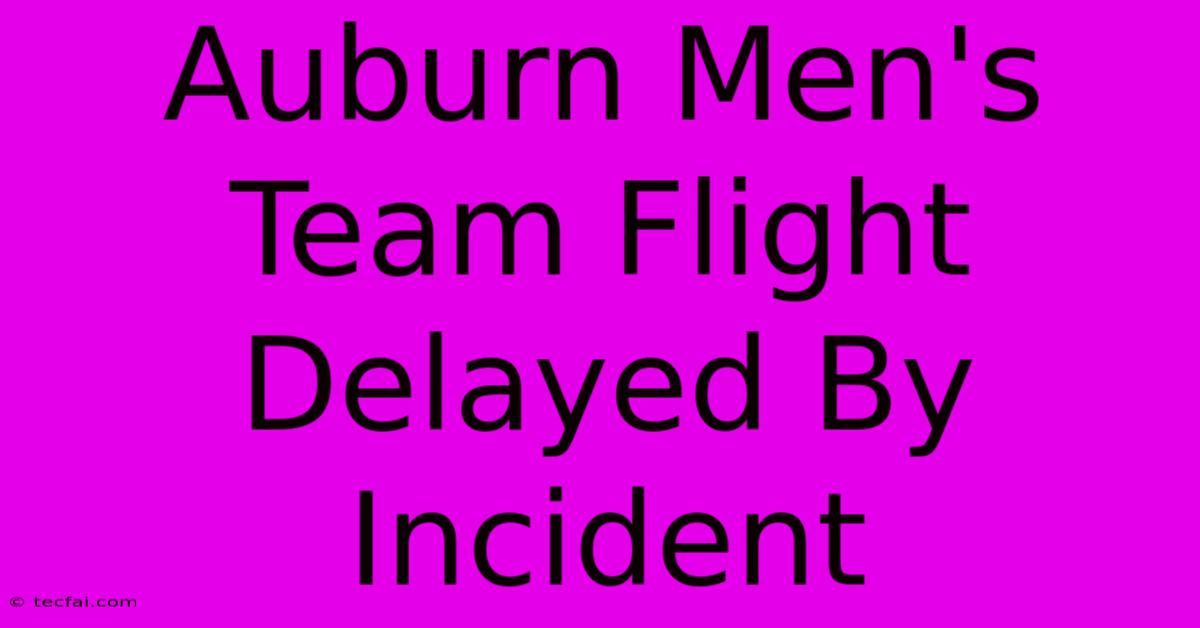 Auburn Men's Team Flight Delayed By Incident