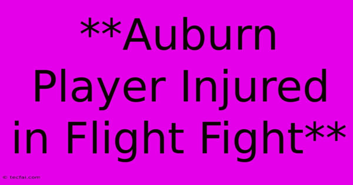 **Auburn Player Injured In Flight Fight**