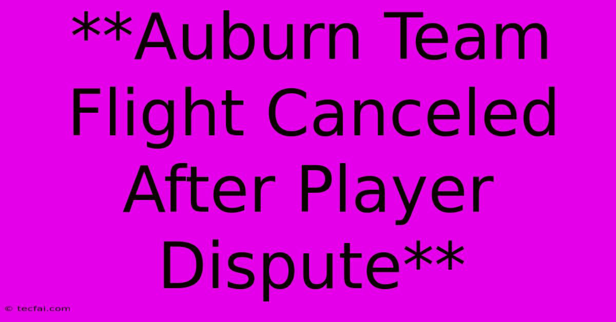 **Auburn Team Flight Canceled After Player Dispute**