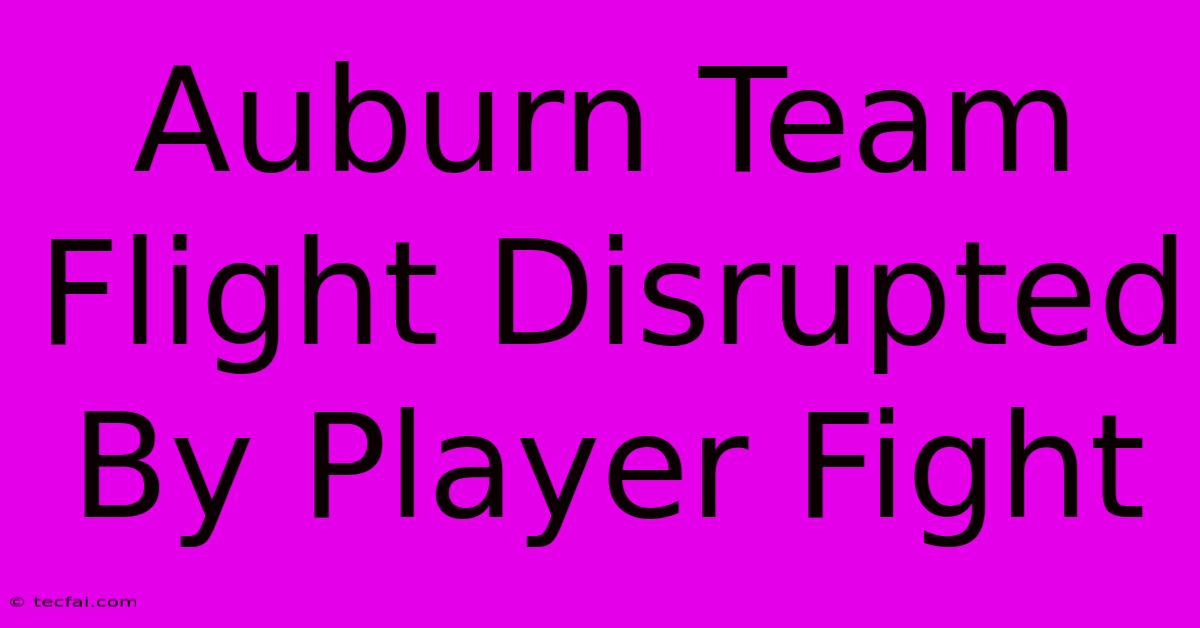 Auburn Team Flight Disrupted By Player Fight